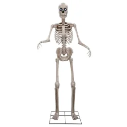 Animerat Gigantiskt Skelett Prop