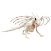 Djurskelett Drake Prop