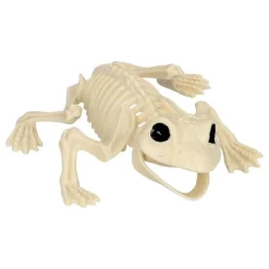 Djurskelett Groda Prop