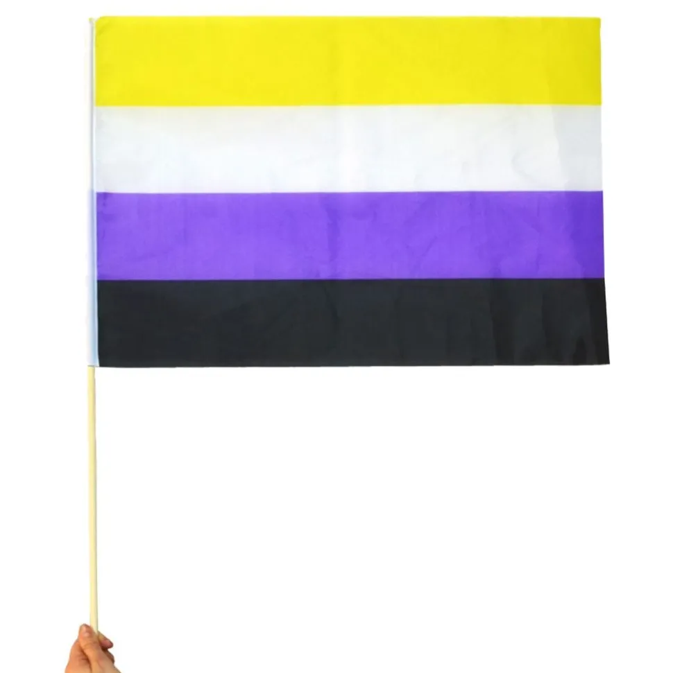 Flagga Pride Ickebinär på Pinne