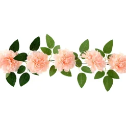 Girlang Pioner Peach