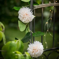 Girlang Dahlia Ivory