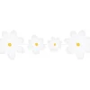 Girlang Daisies