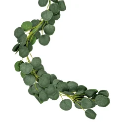 Girlang Eucalyptus