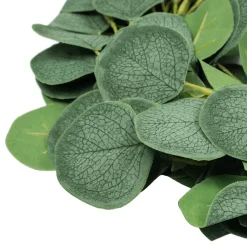 Girlang Eucalyptus