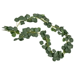Girlang Eucalyptus