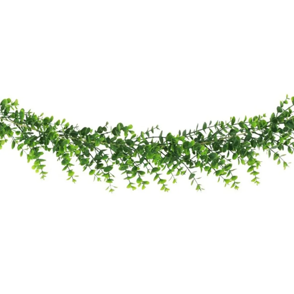 Girlang Eukalyptus