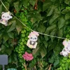 Girlang Panda Party