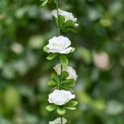 Girlang Rosor Vit