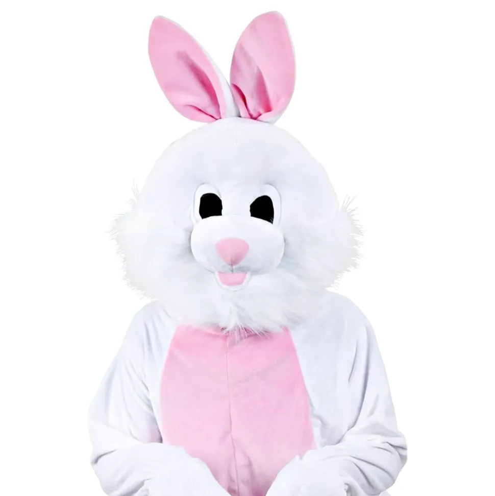 Kanin Maskot Maskeraddräkt