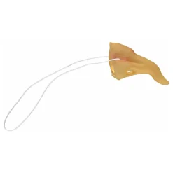 Krokig Häxnäsa i Plast