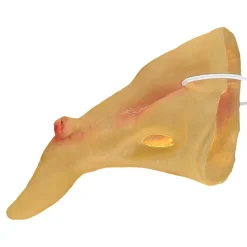 Krokig Häxnäsa i Plast