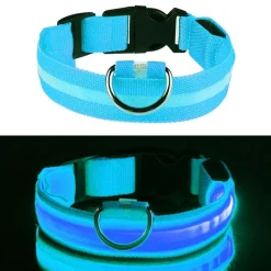 LED Hundhalsband