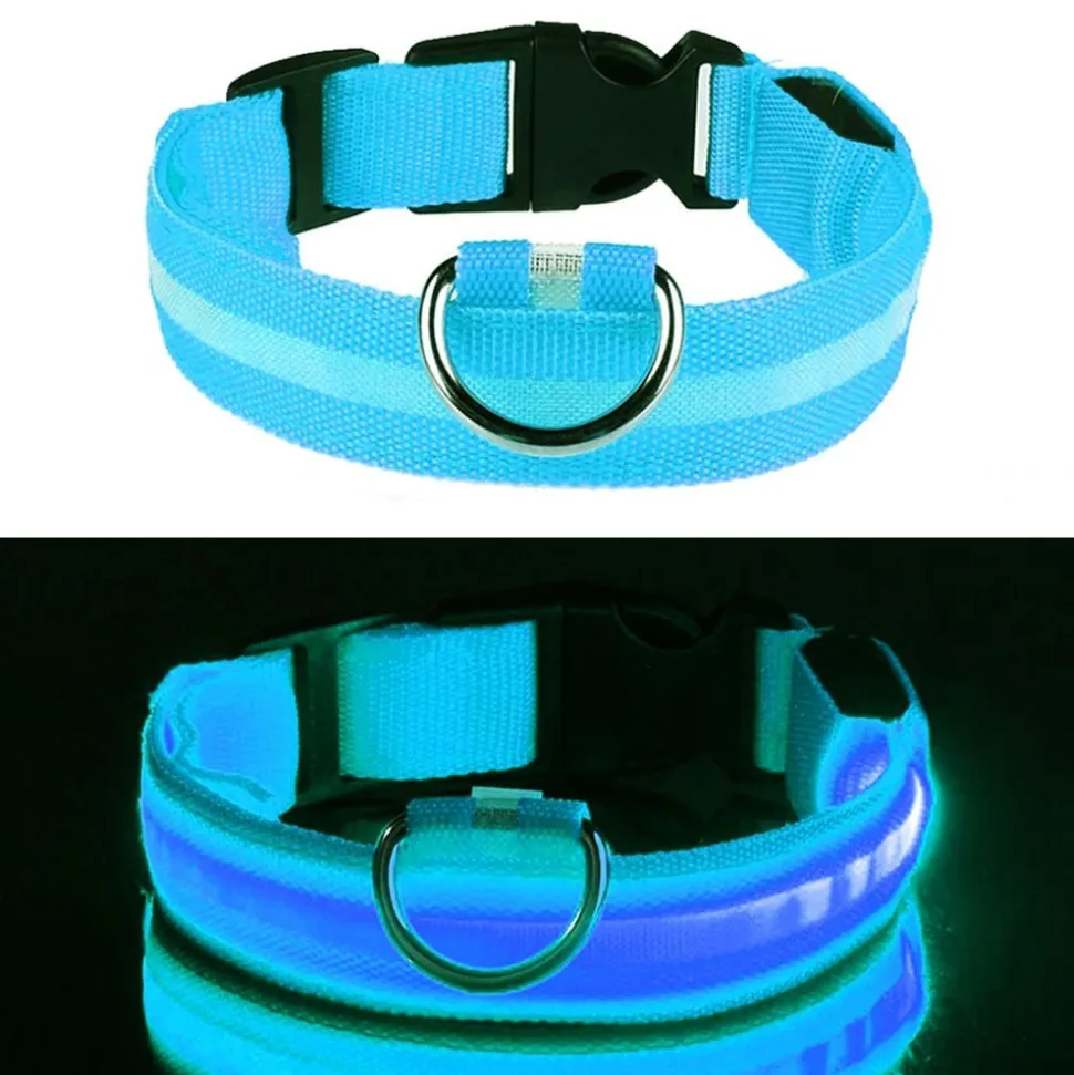 LED Hundhalsband