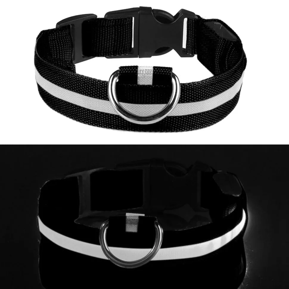 LED Hundhalsband