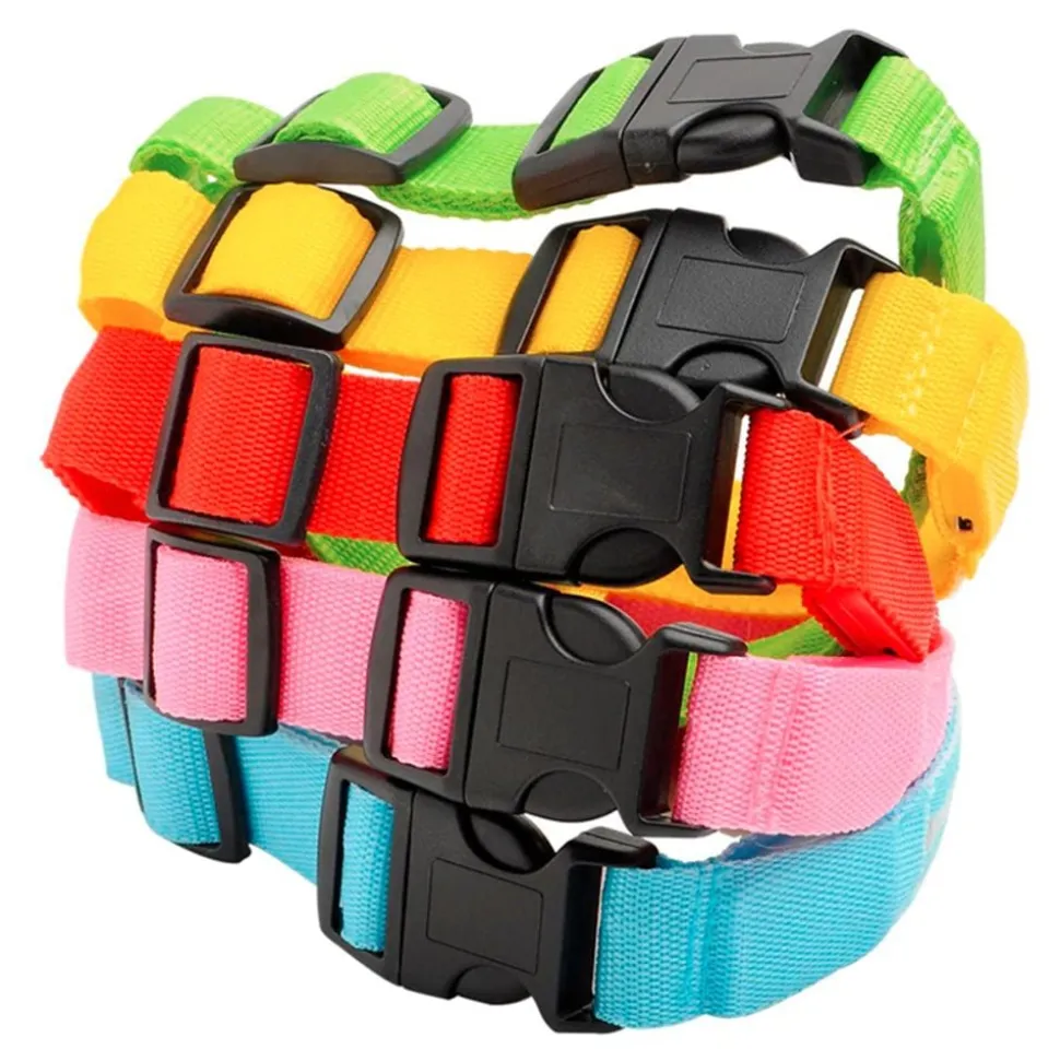 LED Hundhalsband