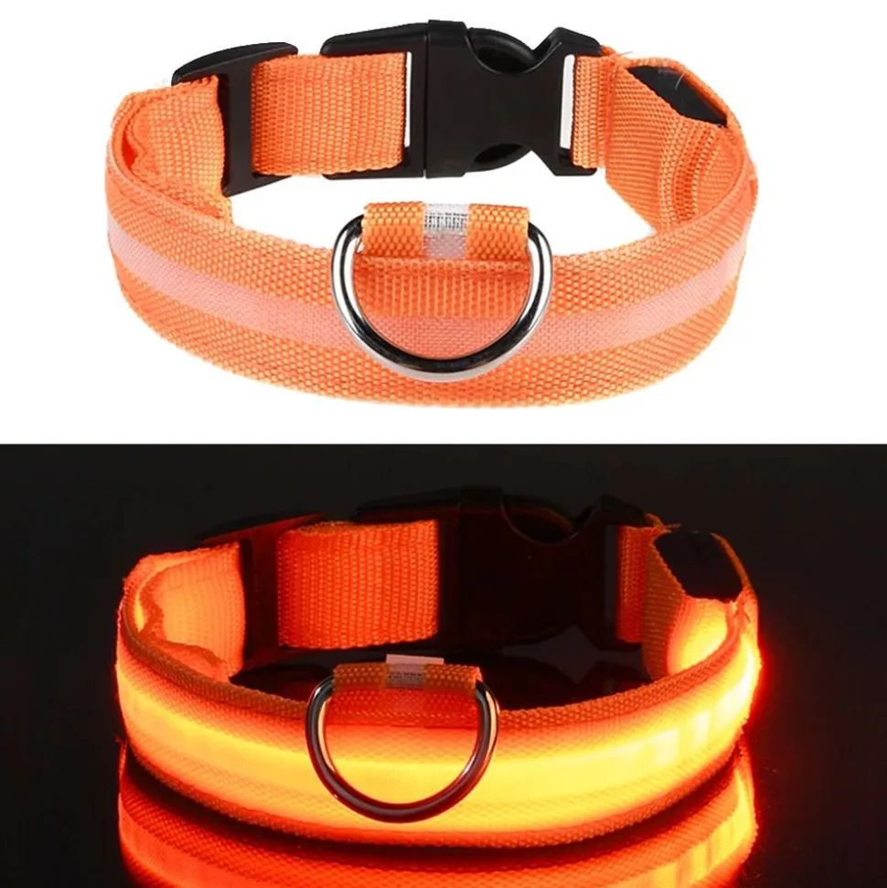 LED Hundhalsband