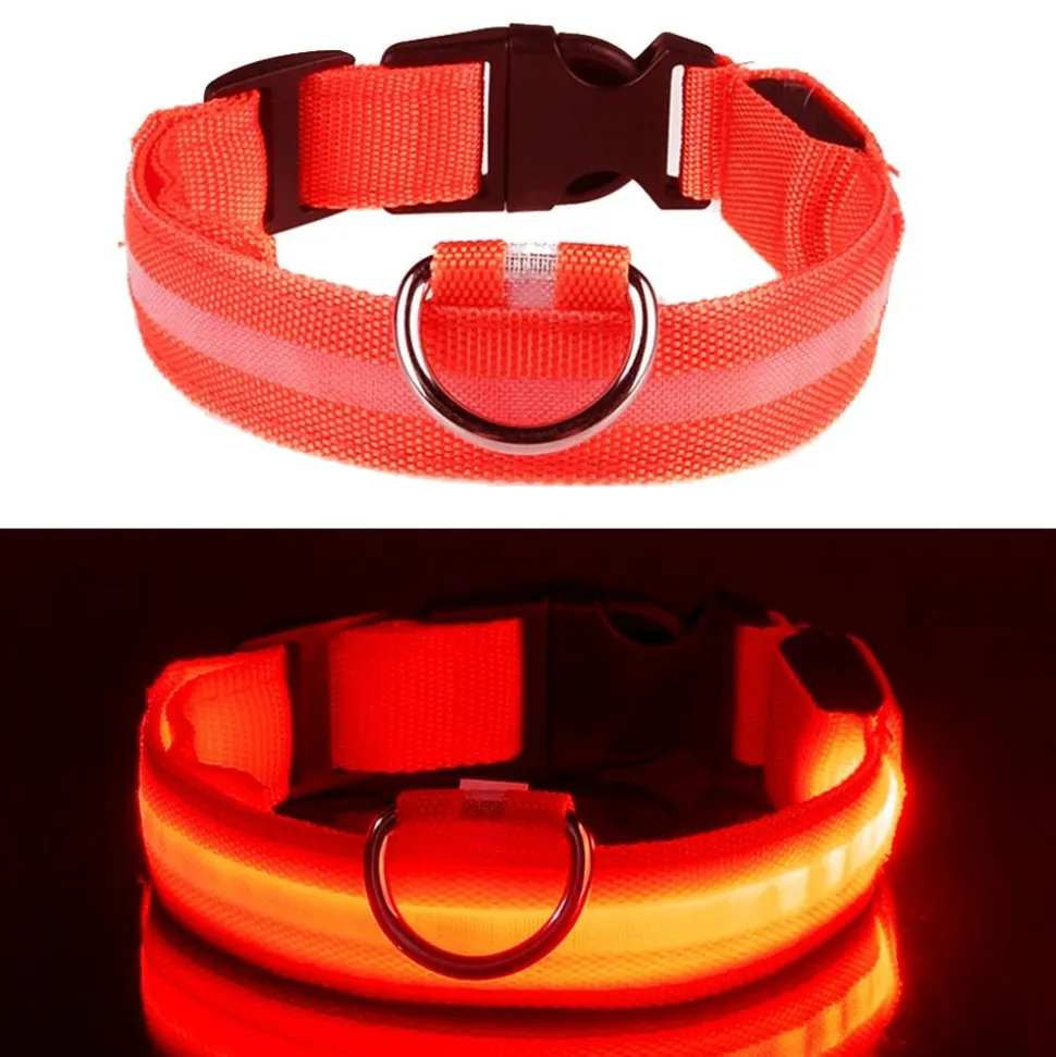 LED Hundhalsband