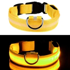 LED Hundhalsband