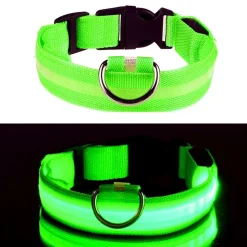 LED Hundhalsband
