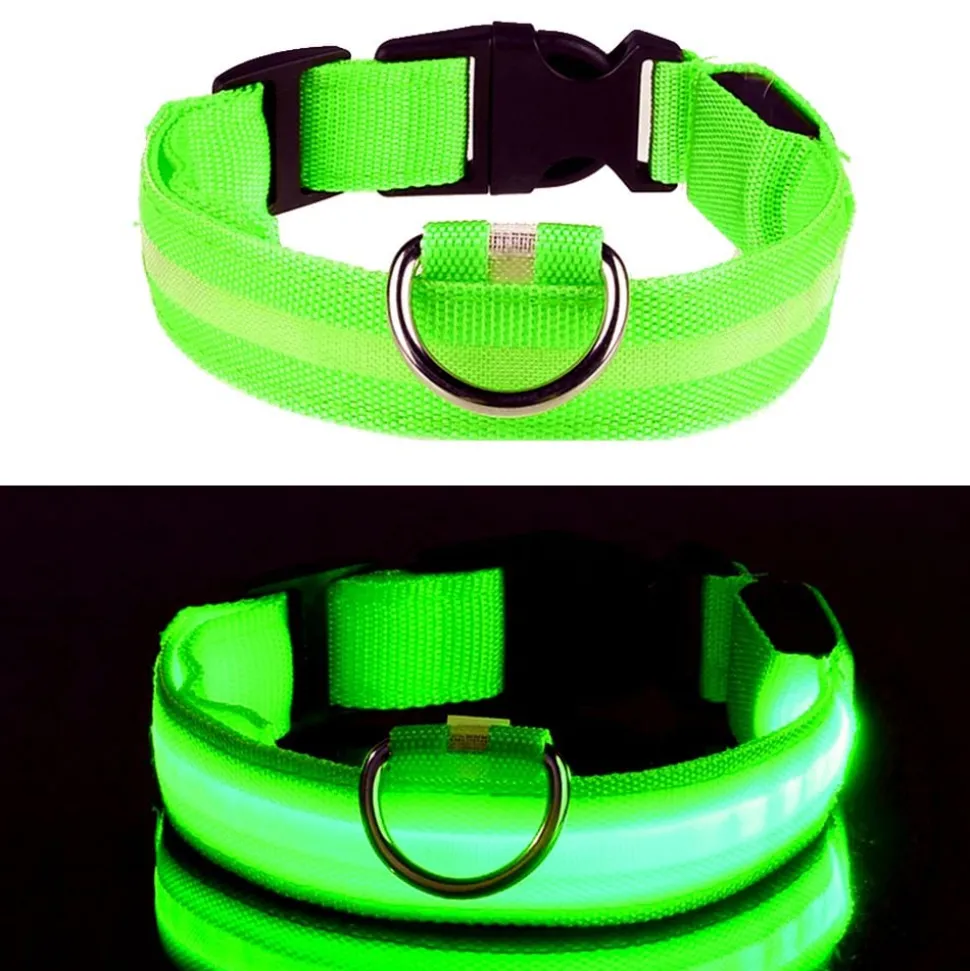 LED Hundhalsband