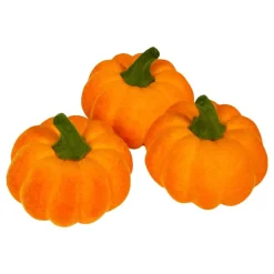 Ludna Pumpor