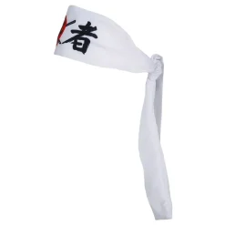 Pannband Karate