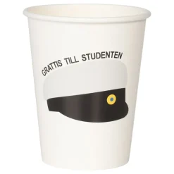 Pappersmuggar Studentmössa