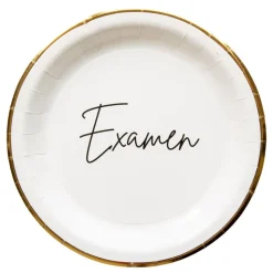 Papperstallrikar Examen