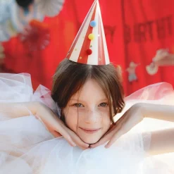 Partyhattar Pom Pom Cirkus