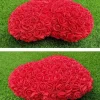 Roshjärta / Rose Heart