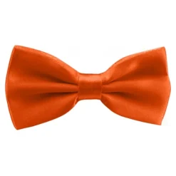 Sidenfluga