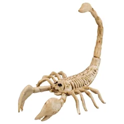 Skorpion Skelett Prop